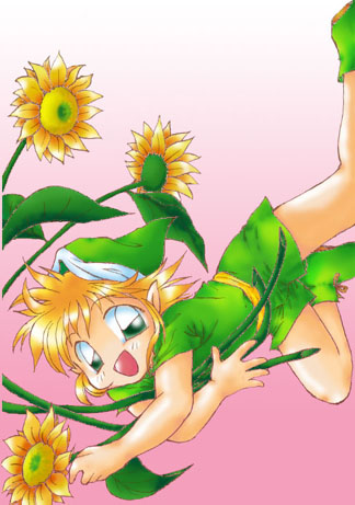 �j�h�c�r�@-�@�Z���@-